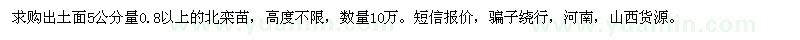 求購北欒苗