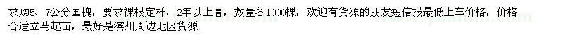 求購國槐