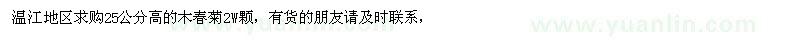求購高25公分木春菊