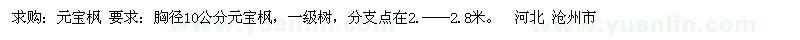 求購元寶楓