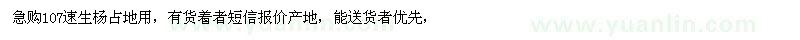 求購107速生楊