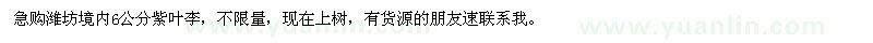 求購6公分紫葉李