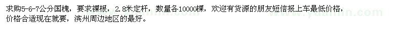 求購5、6、7公分國槐