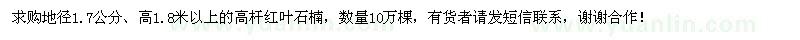 求購高桿紅葉石楠