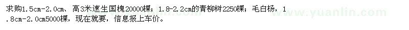 求購速生國槐、青柳樹、毛白楊