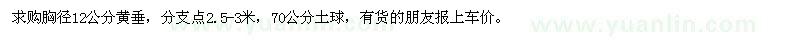 求購胸徑12公分黃垂