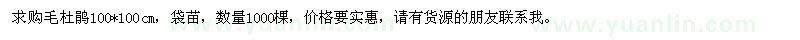 求購毛杜鵑袋苗