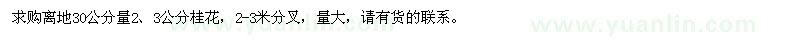求購2、3公分桂花
