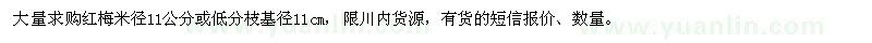 求購(gòu)11公分紅梅