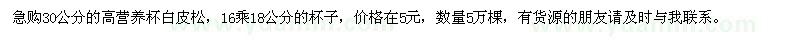 求購高30公分營養(yǎng)杯白皮松