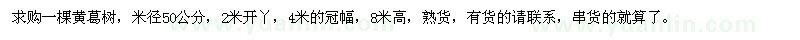 求購米徑50公分黃葛樹