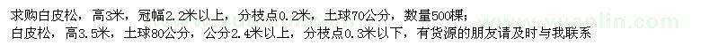 求購高3、3.5米白皮松