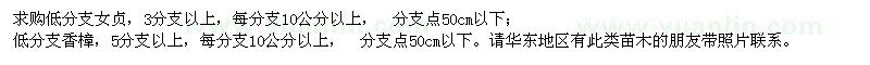 求購低分支女貞、香樟