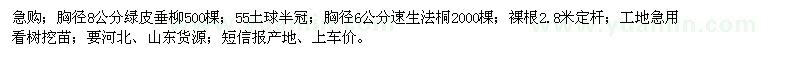 求購(gòu)胸徑8公分綠皮垂柳、胸徑6公分速生法桐