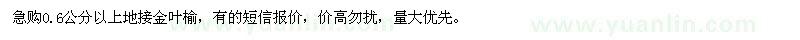 求購0.6公分以上地接金葉榆