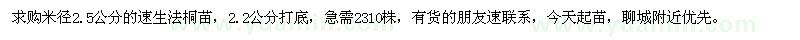 求購米徑2.2-2.5公分速生法桐苗