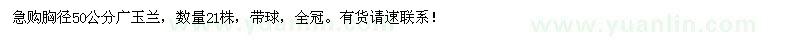 求購胸徑50公分廣玉蘭