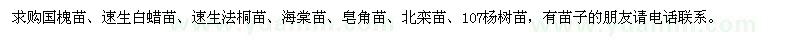 求購(gòu)國(guó)槐苗、速生白蠟苗、速生法桐苗