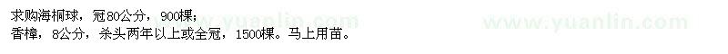 求購(gòu)海桐球、香樟