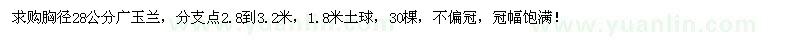 求購(gòu)28公分廣玉蘭