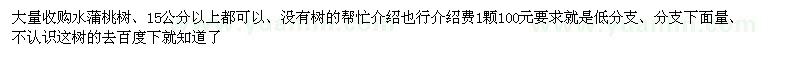 求購水蒲桃樹