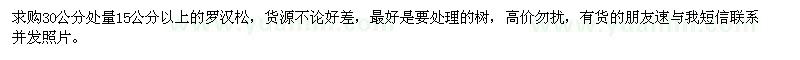 求購30公分處量15公分以上羅漢松