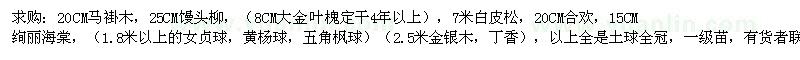 求購(gòu)馬褂木、饅頭柳、白皮松