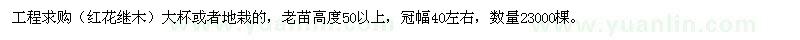 求購紅花繼木