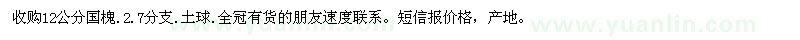 求購(gòu)12公分國(guó)槐