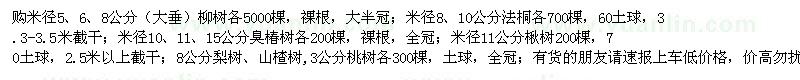 求購柳樹、法桐、臭椿、楸樹等苗木