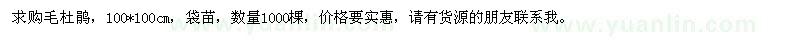 求購(gòu)毛杜鵑