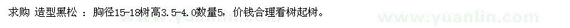 求購造型黑松