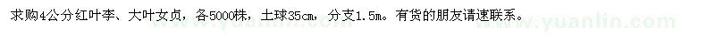 求購(gòu)4公分紅葉李、大葉女貞