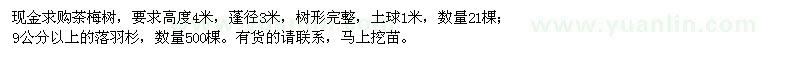 求購茶梅樹、落羽杉