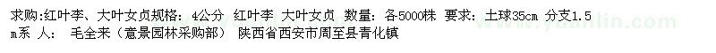 求購紅葉李、大葉女貞