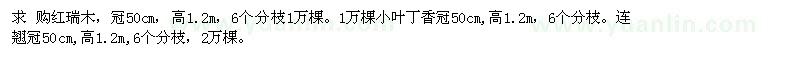 求購紅瑞木、連翹、小葉丁香