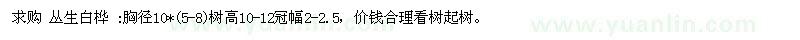 求購叢生白樺