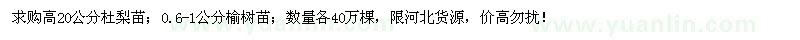 求購高20公分杜梨苗、0.6-1公分榆樹苗