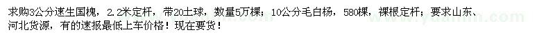 求購3公分速生國槐、10公分毛白楊