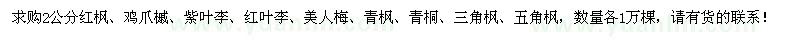 求購2公分紅楓、雞爪槭、紫葉李等苗木