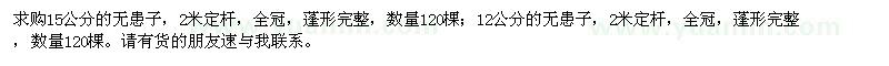 求購(gòu)15公分無(wú)患子、12公分無(wú)患子