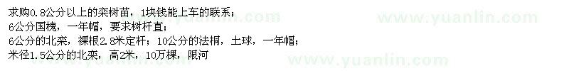 求購欒樹、國槐、北欒