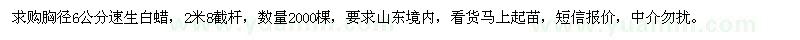 求購胸徑6公分速生白蠟