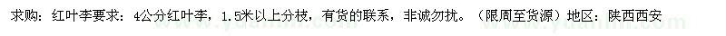求購紅葉李