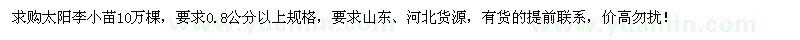 求購0.8公分以上太陽李小苗