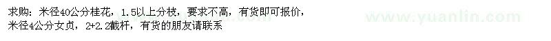 求購桂花、女貞