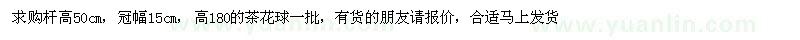 求購高桿紅葉石楠、茶花球