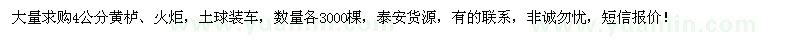 求購(gòu)4公分黃櫨、火炬
