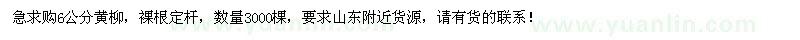 求購(gòu)6公分黃柳