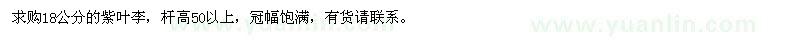 求購18公分紫葉李